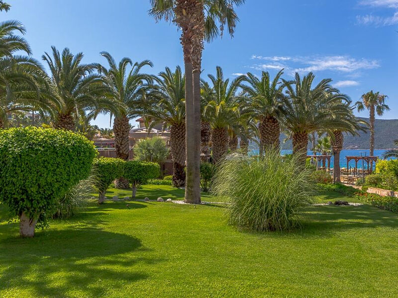 Tui Magic Life Bodrum