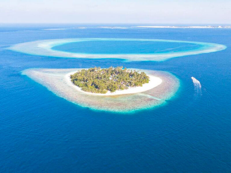 Malahini Kuda Bandos