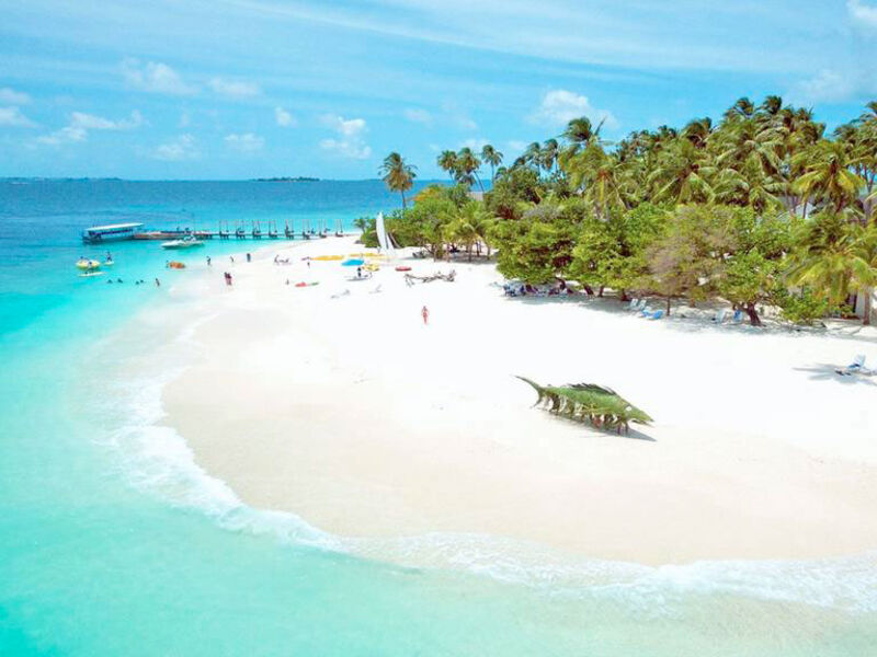 Malahini Kuda Bandos