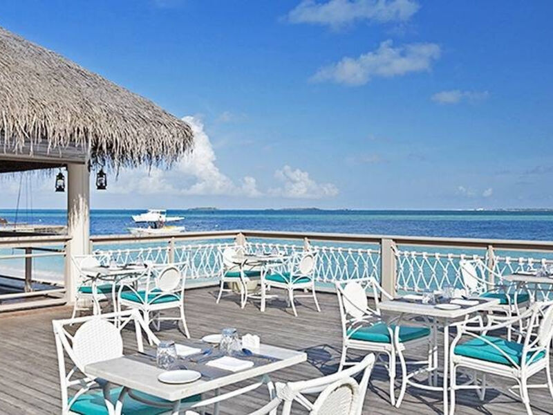 Malahini Kuda Bandos