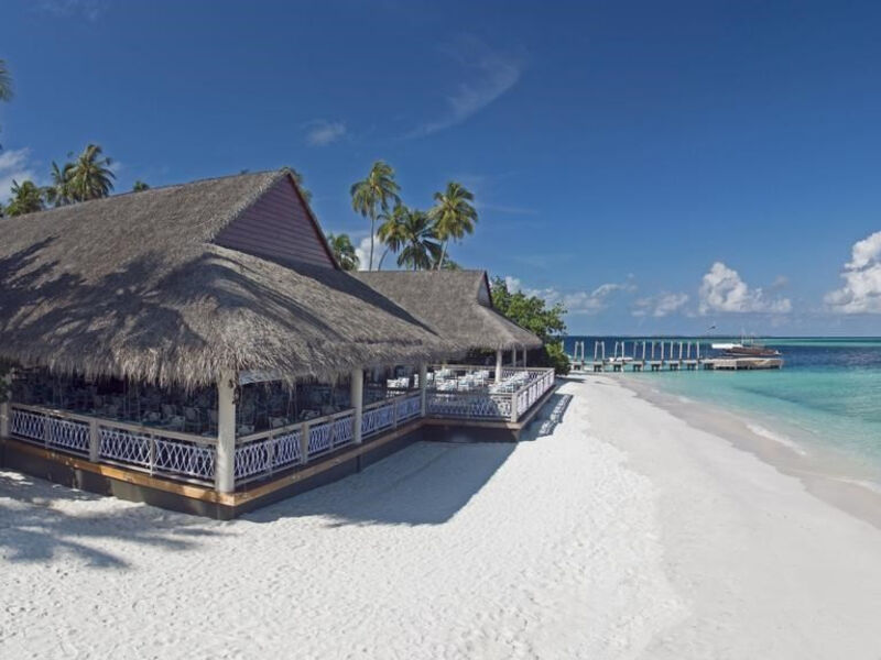 Malahini Kuda Bandos
