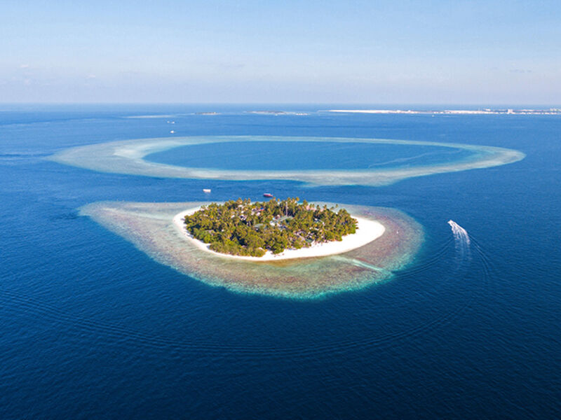 Malahini Kuda Bandos