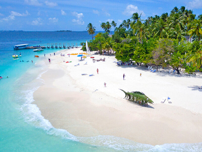 Malahini Kuda Bandos