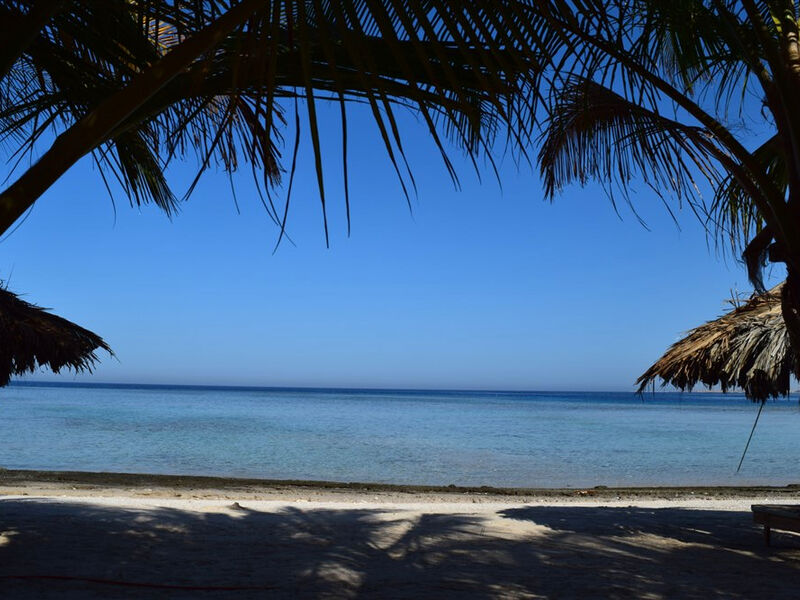 Mangrove Bay Resort