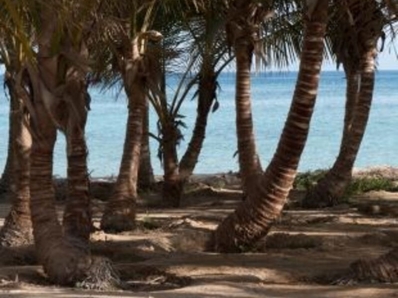Mangrove Bay Resort