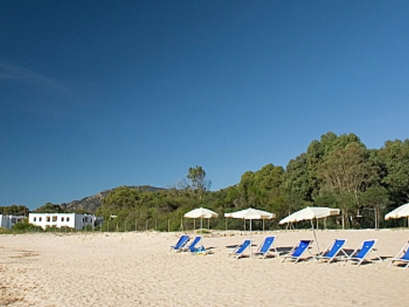 Mare Pineta