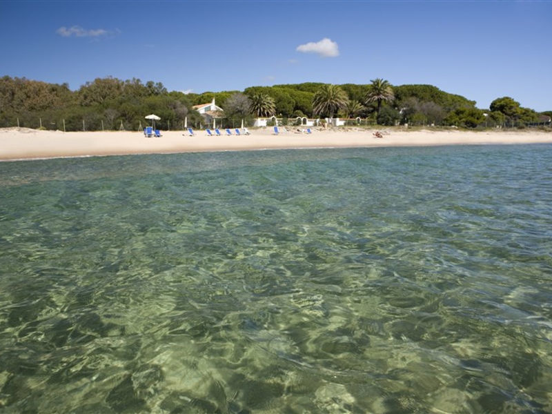 Mare Pineta