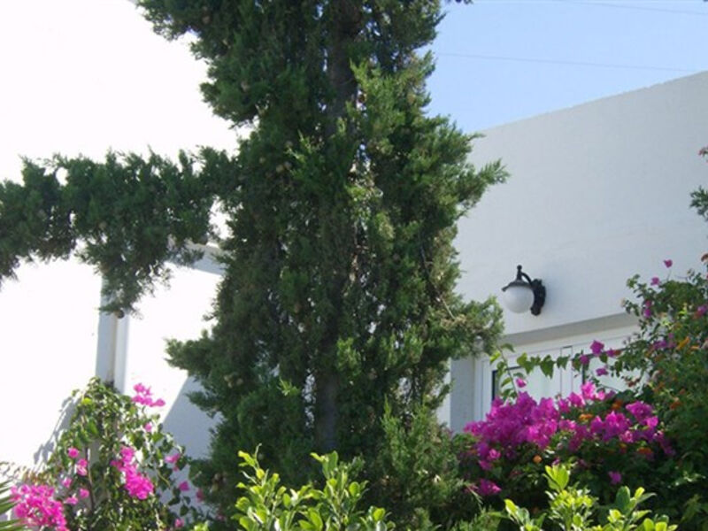 Mare Village