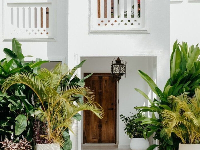 Lux Marijani Zanzibar