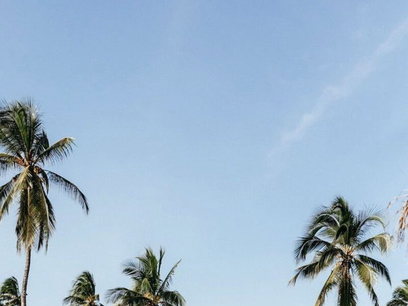 Lux Marijani Zanzibar