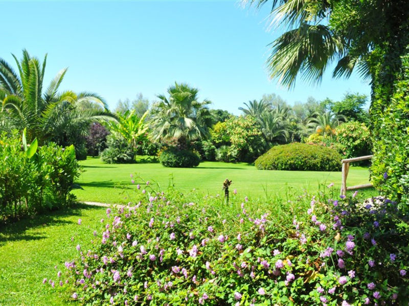 Marina Club