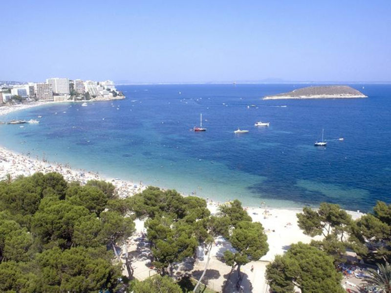 Marina Torrenova