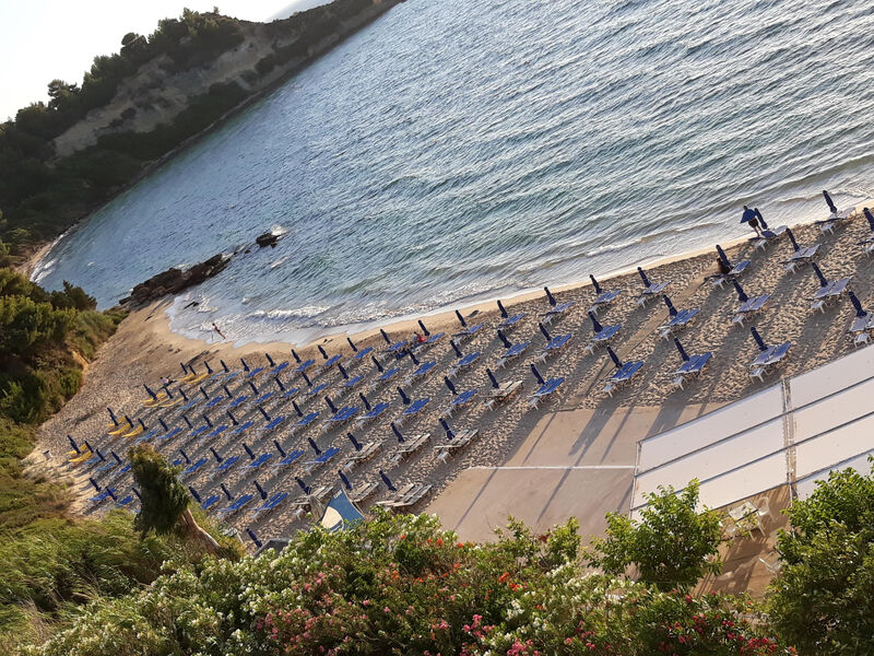 Mediterranee