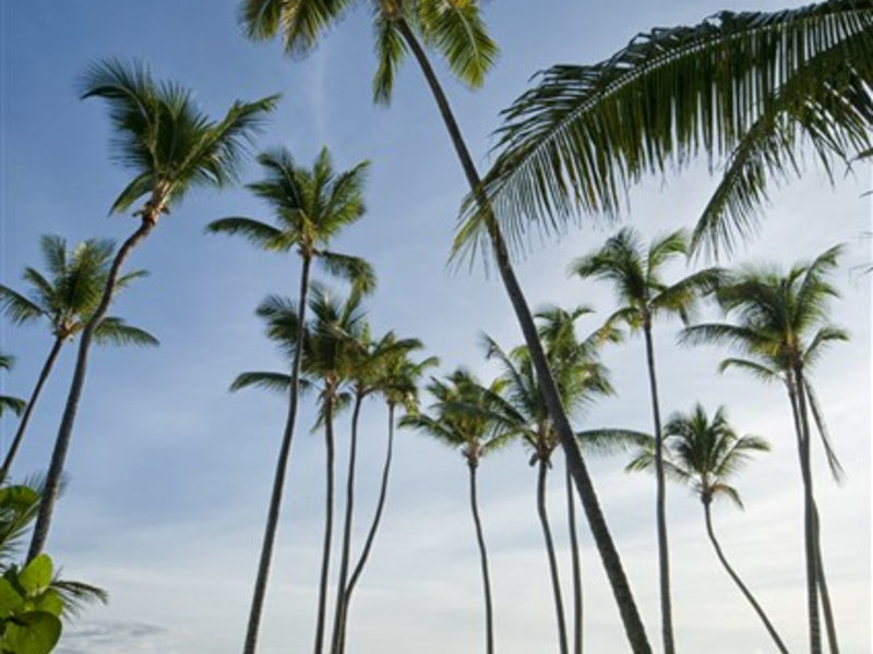 Melia Caribe Tropical