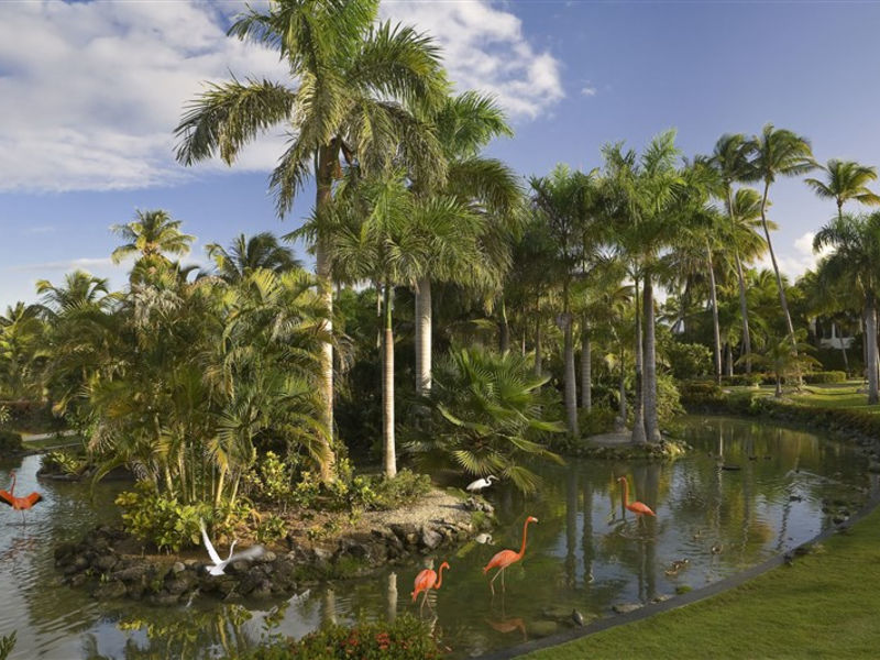 Melia Caribe Tropical