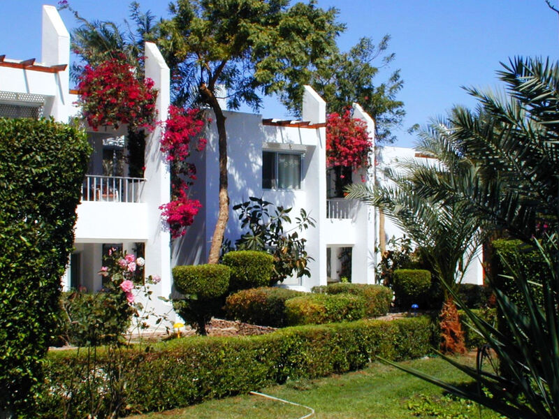 Menaville Safaga