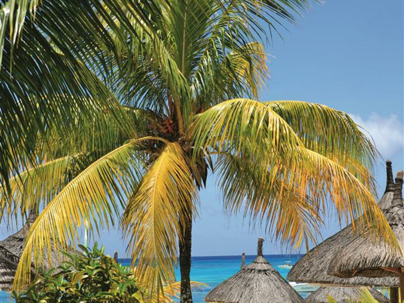 Merville Beach by Lux*