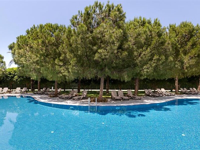 Miracle Resort