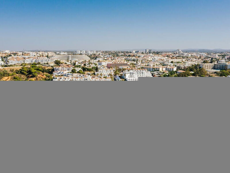 Monica Isabel Beach Club