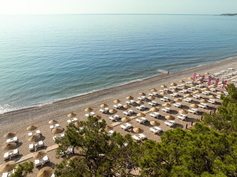 Monk Resort