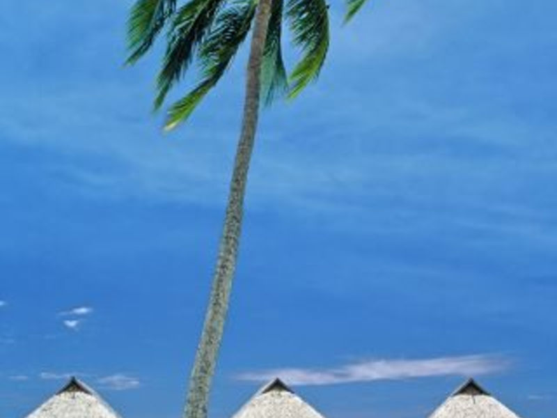 Moorea Pearl Beach