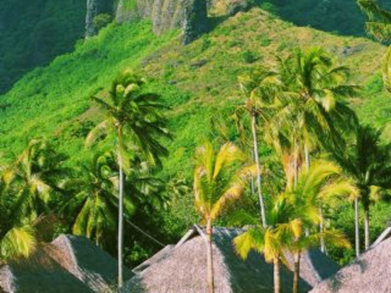 Moorea Pearl Beach