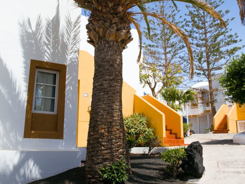 The Morromar