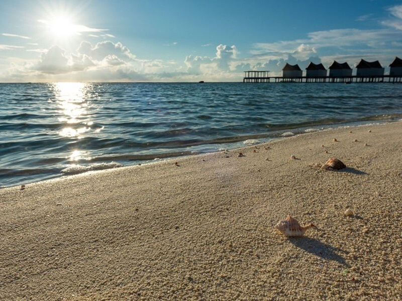 Mövenpick Resort Kuredhivaru