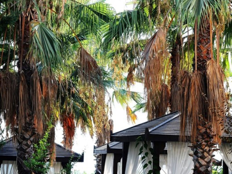 Mukarnas Spa Resort