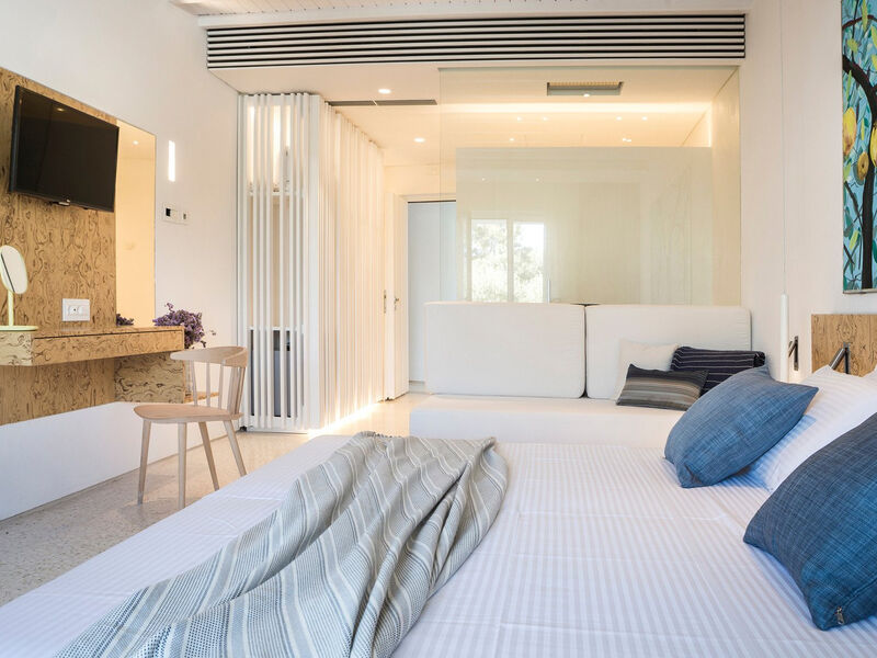 Mykonos Dove Beach