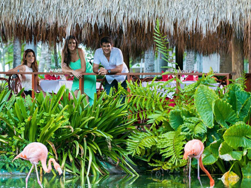 Natura Park Beach Resort & Spa