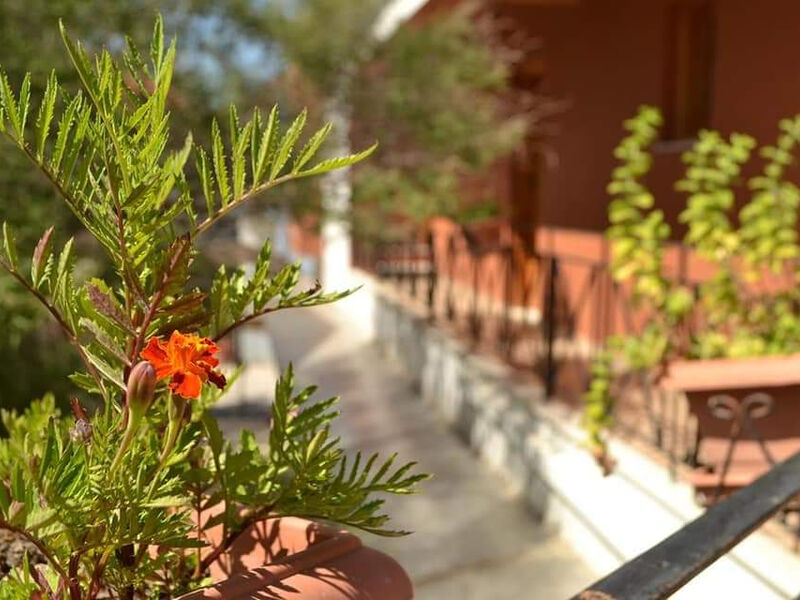 Natura