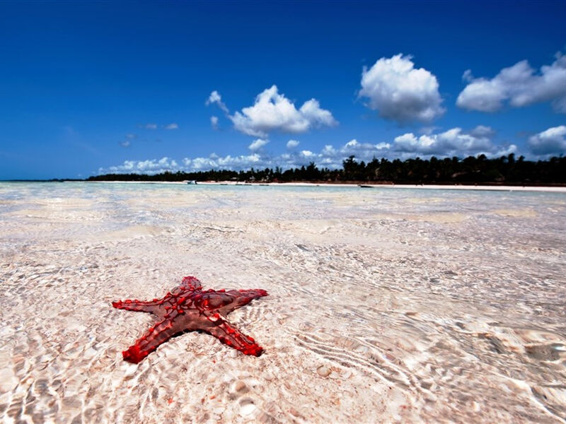 Neptune Paradise Beach Resort & Spa
