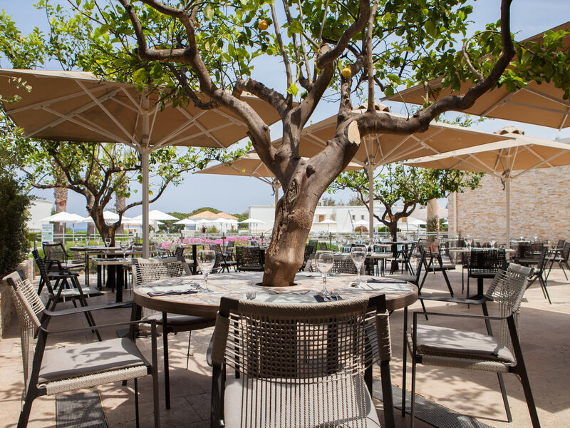 Neptune Resort Convention Centre & Spa