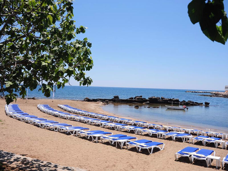 Numa Bay Exclusive