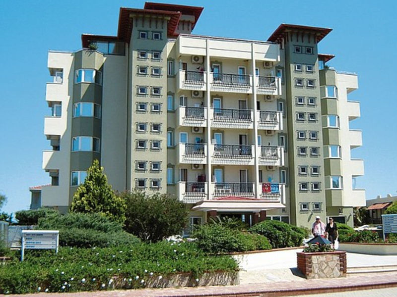 Numa Palma
