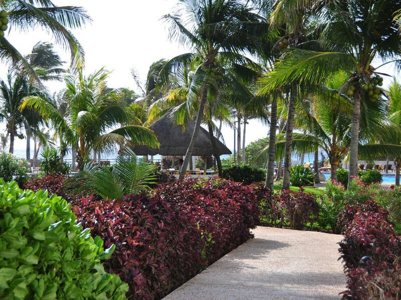 Oasis Cancun Grand