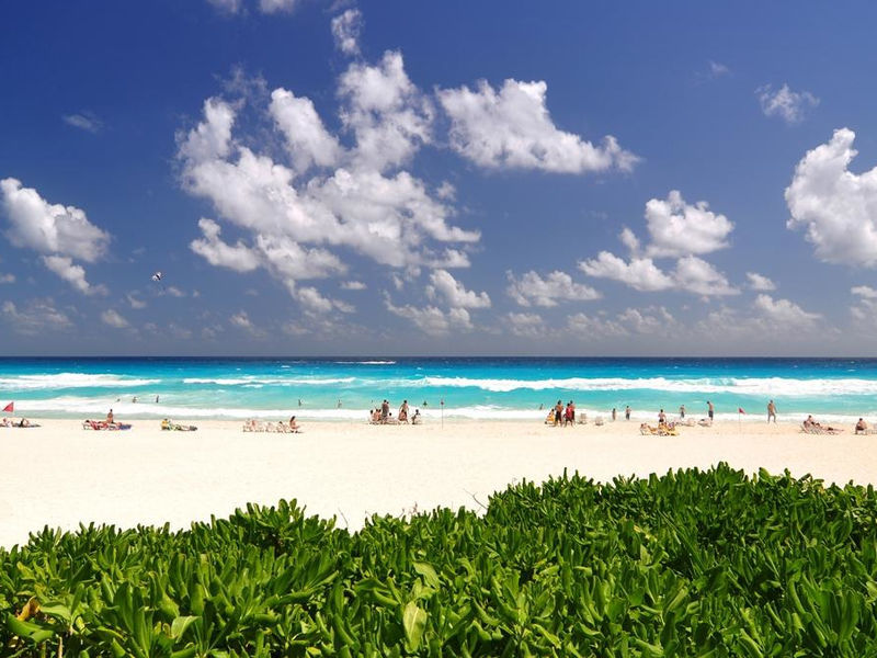 Oasis Cancun Lite