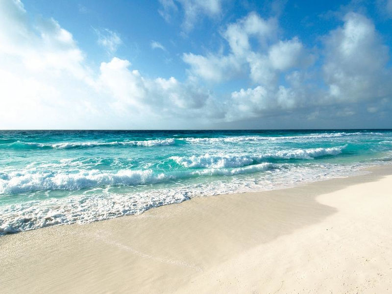 Oasis Cancun Lite