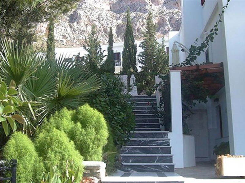 Oasis