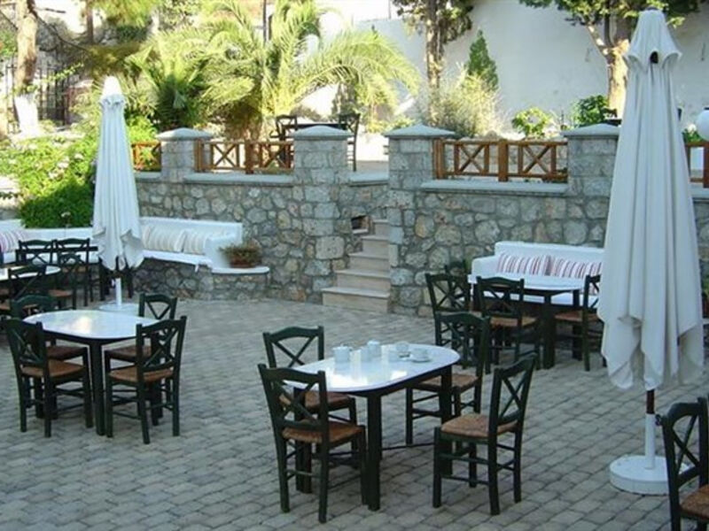 Oasis