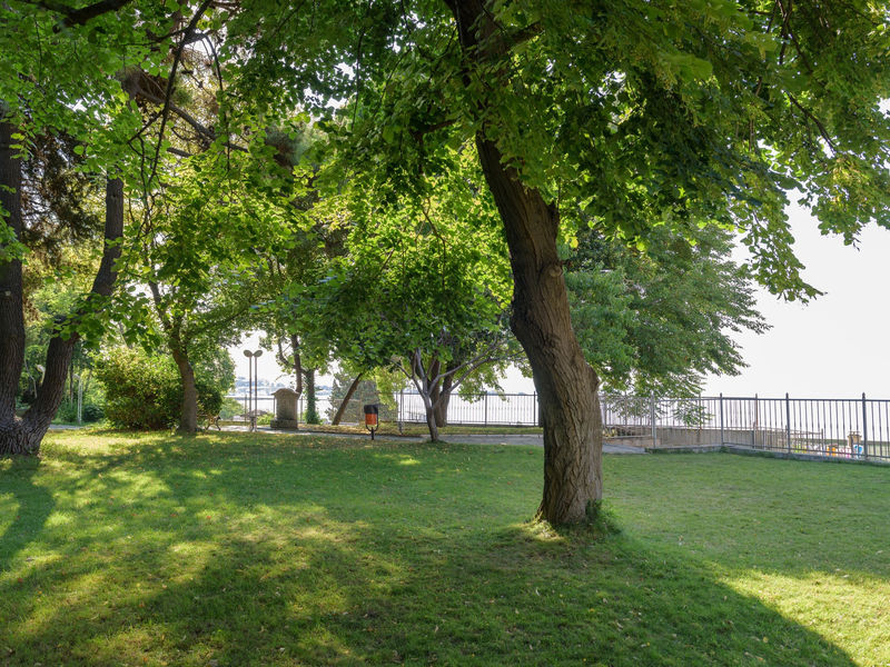 Park Hotel Oasis