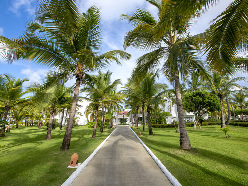  Occidental Punta Cana