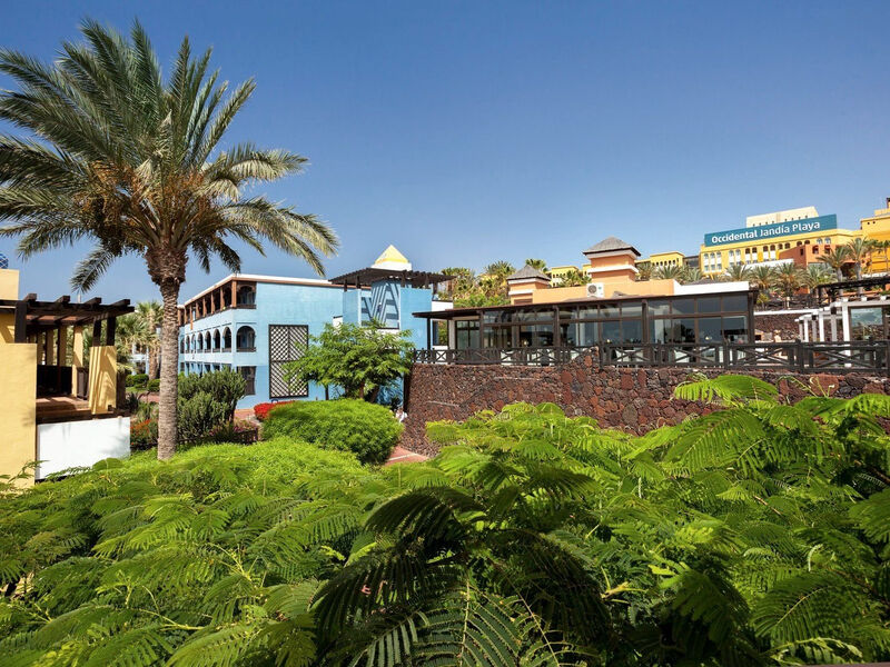 Occidental Jandia Playa