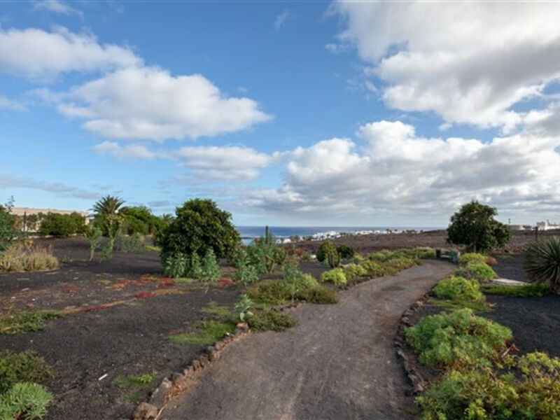 Occidental Lanzarote Mar