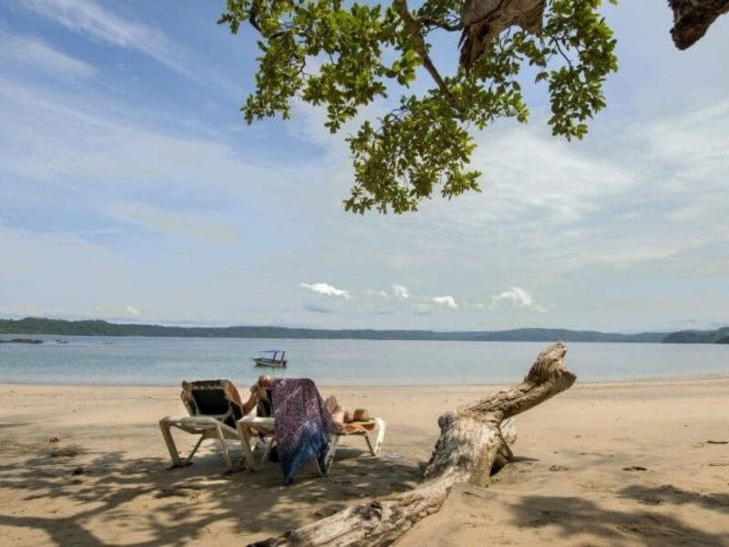 Occidental Papagayo