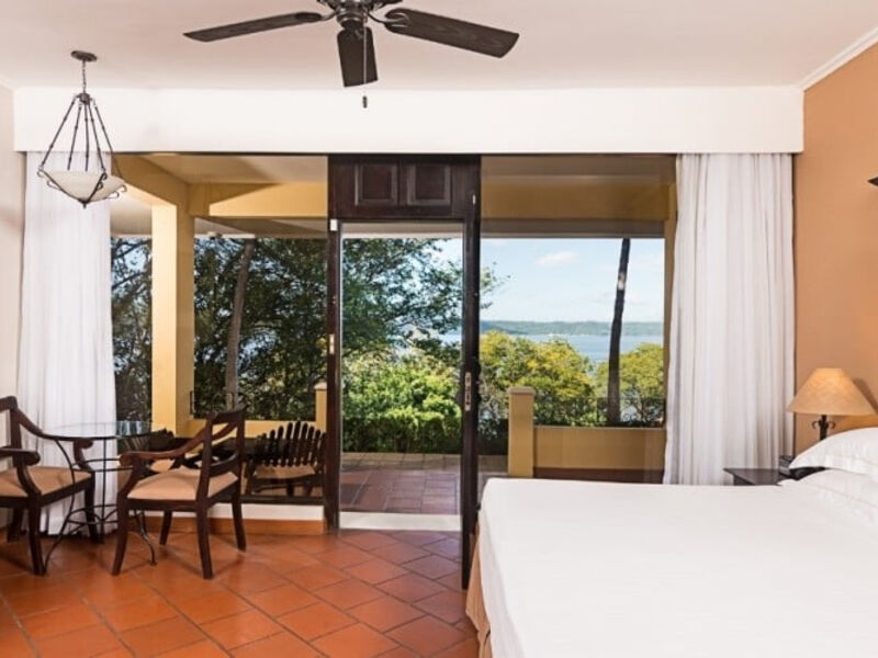 Occidental Papagayo