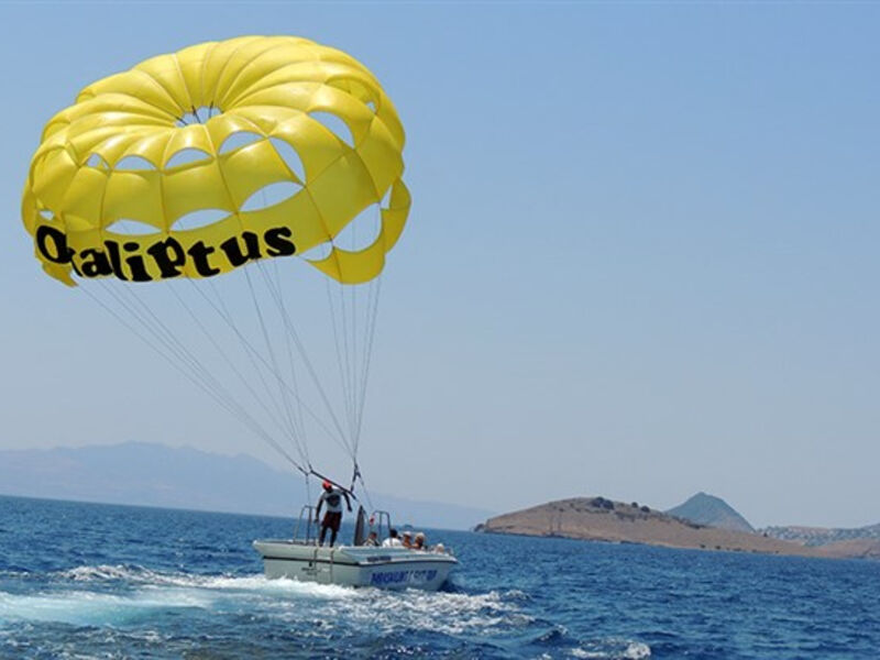 Okaliptus