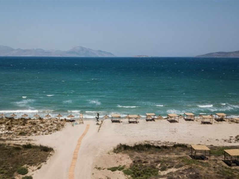 Oku Kos
