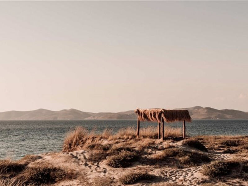 Oku Kos